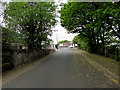 Up Bryngwyn Street, Fleur-de-lis