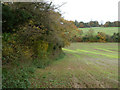 Field east of Nohome Farm