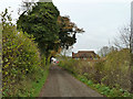 Track towards Langley Bottom Farm