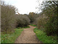 Path onto Epsom Downs