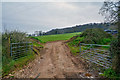 East Devon : Grassy Field