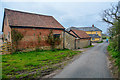 East Devon : Ridgeway Lane