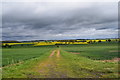 Farmtrack across arable land.