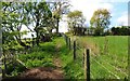 Fife Core Path, Upper Largo