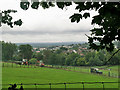 View towards Reigate from Nut Wood