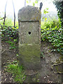 Milestone near St Mary