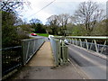 Parallel river bridges, Fleur-de-lis