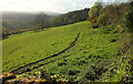 Field above Wray Cleave