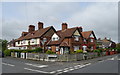 Houses, Netherton Green