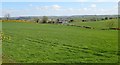 Improved grassland east of Barr Hill