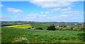 Drumlins in the Armagh/Down borderland