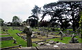ST3049 : Northwest side of Burnham-on-Sea Cemetery by Jaggery