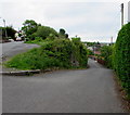 Northern end of Castle Street, Fleur-de-lis