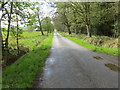 Road between woodland and arable field approaching Carsegreen