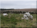 NJ6539 : Quartzite cairn, Logie Newton by Bill Harrison