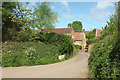 Whitfield Lane, South Petherton