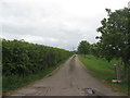 Lane to Ermine Street Farm