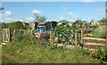 Allotments, Whitfield Lane, South Petherton