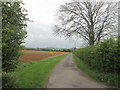 Lane to Crowland Farm