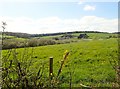 View across undulating pasture towards the forests of the Drumbanagher Demesne