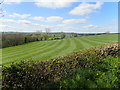 Improved grassland and woodland west of the Drumantine Road