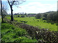 Rough pasture west of Drumantine Road