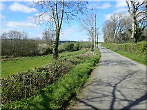 J0734 : View North along the Drumantine Road by Eric Jones