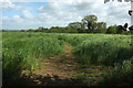 Footpath, South Petherton