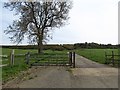 Stoneton-Berryfield Farm