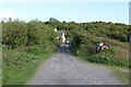 Exit Road from Carrick Bay