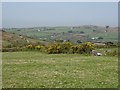 View to Carn Brea