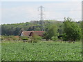 Pylon behind Woodland Cottage