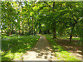 Path from Burleys Road to Worth Road, Crawley