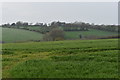 SW9544 : Green fields near Trelissick by Simon Mortimer