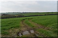 Muddy field entrance near Vose