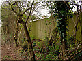 A Devon Hedge on the south east corner of Gibbs Plantation