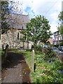 St Mary, East Molesey: churchyard (c)