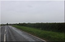 TL1684 : Glatton Road entering Sawtry by David Howard