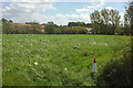 Towards Haselbury Mill