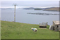 Northward view from Roadside, Hamnavoe