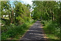 Path on former canal and railway route at Redbridge Drive