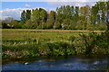 View across the Pilhill Brook at Little Ann