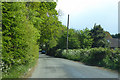 Road towards Crowhurst