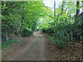 Footpath running north from Marley Lane