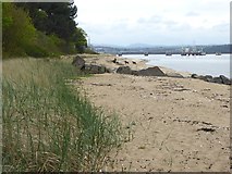 NT1679 : Shoreline of the Firth of Forth near Fishery Cottage by Oliver Dixon