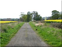 NT1877 : Estate road on the Dalmeny Estate by Oliver Dixon