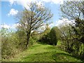 Trackbed of former railway line from Taunton to Barnstaple