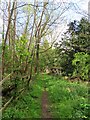 Footpath to Farmoor