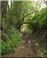 Footpath to Burton