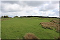 Farmland at Knockycoid